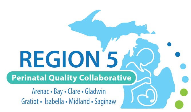 Michigan Region 5 Perinatal Quality Collaborative
